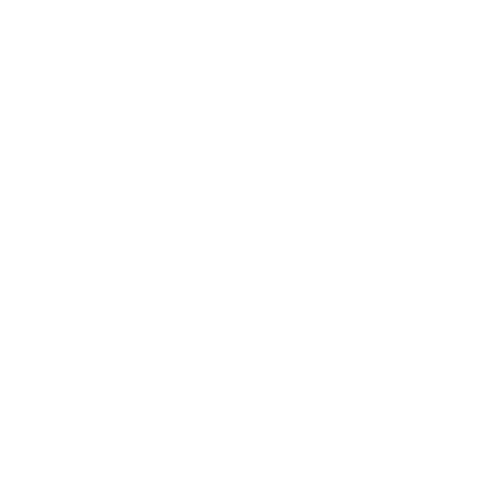 Bontempi - logo