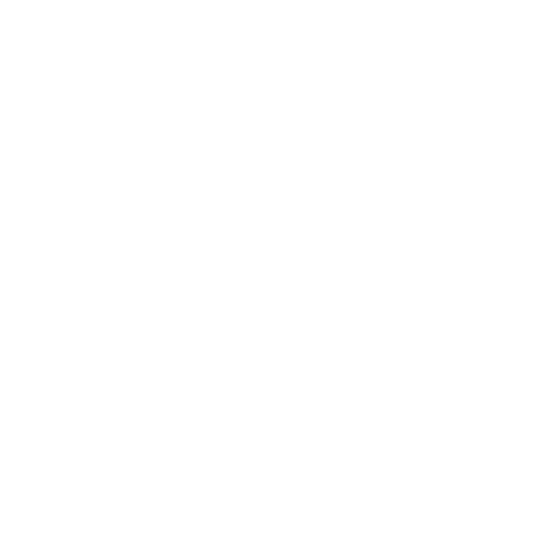 RCR Italia - logo